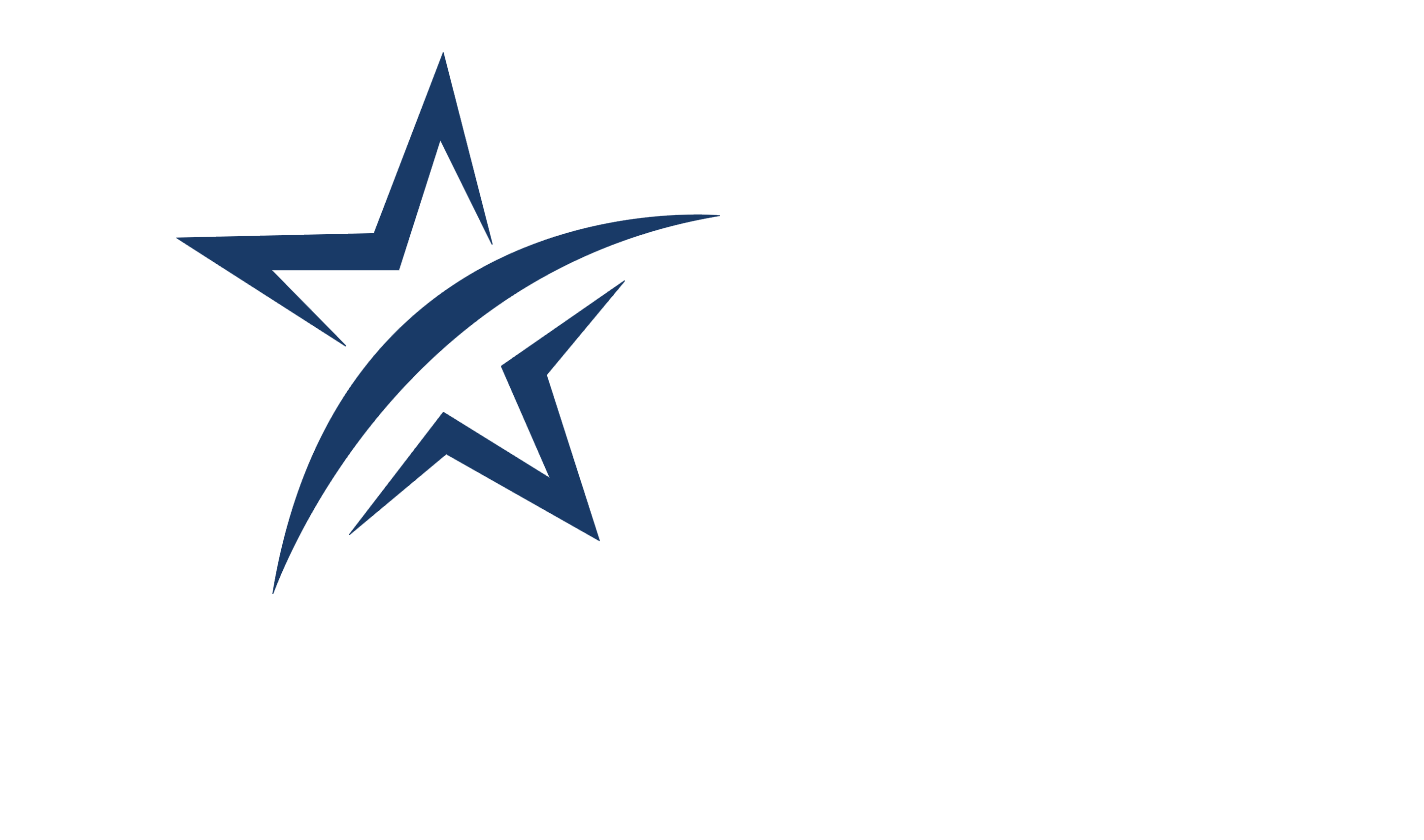 Bluestar Resourcing